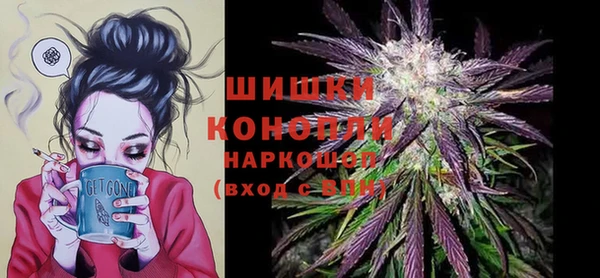 ПСИЛОЦИБИНОВЫЕ ГРИБЫ Липки